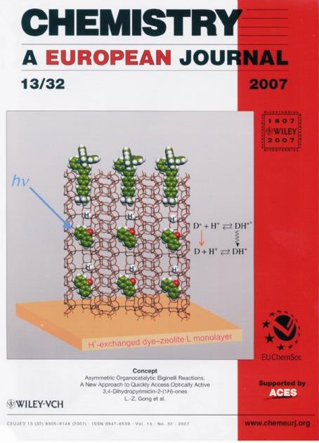 Proton activity inside the channels of zeolite L
	Rodrigo Q. Albuquerque, Gion Calzaferri
	Chem. Eur. J. 13, 2007, 8938-8952. 	
	